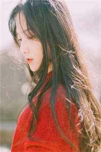 傅司衍梁宛薇免费