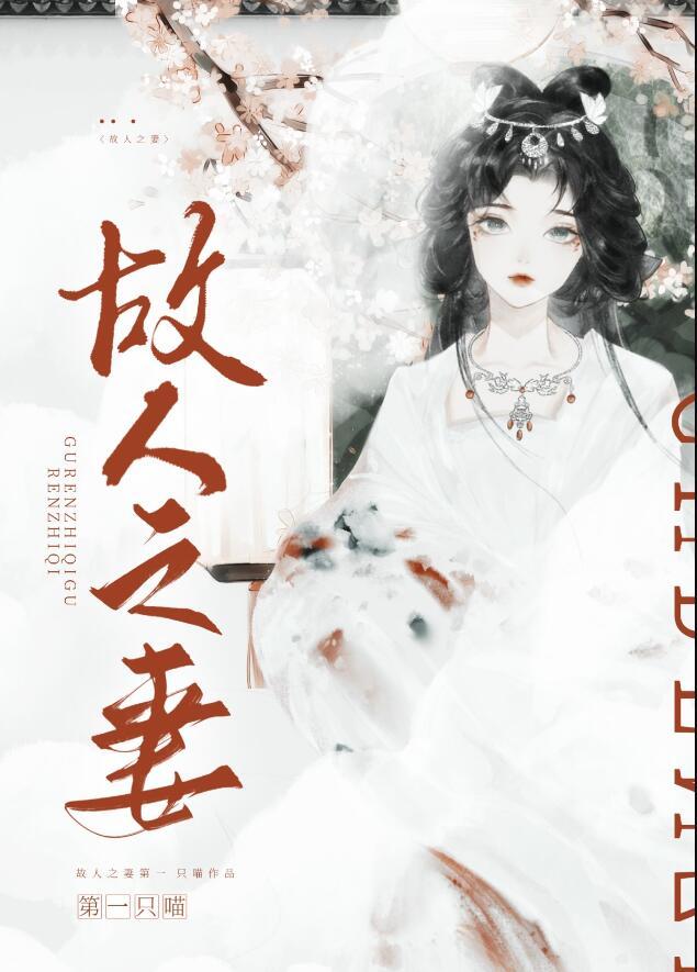 故人之妻晋江文学城