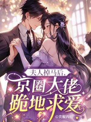 盛淮南是什么