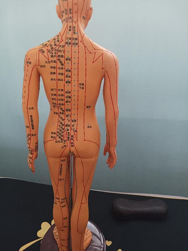 中医天下免费阅读全文