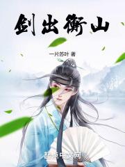 剑出衡山txt笔趣阁