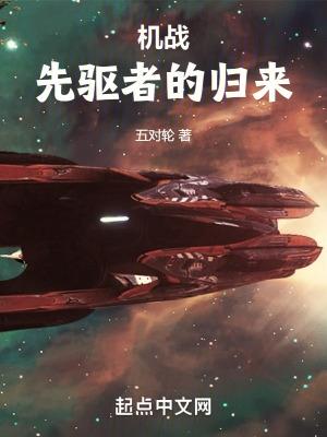 机战先驱者的归来 五对轮