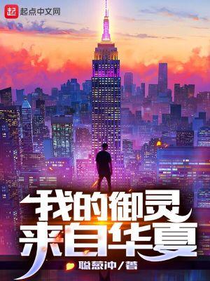 我的御灵来自华夏境界等级