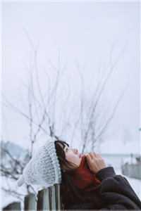 李小雪 李雪峰