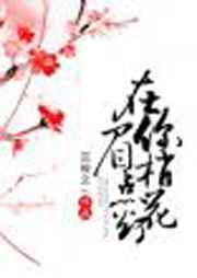 在你眉梢点花灯全文免费阅读无广告
