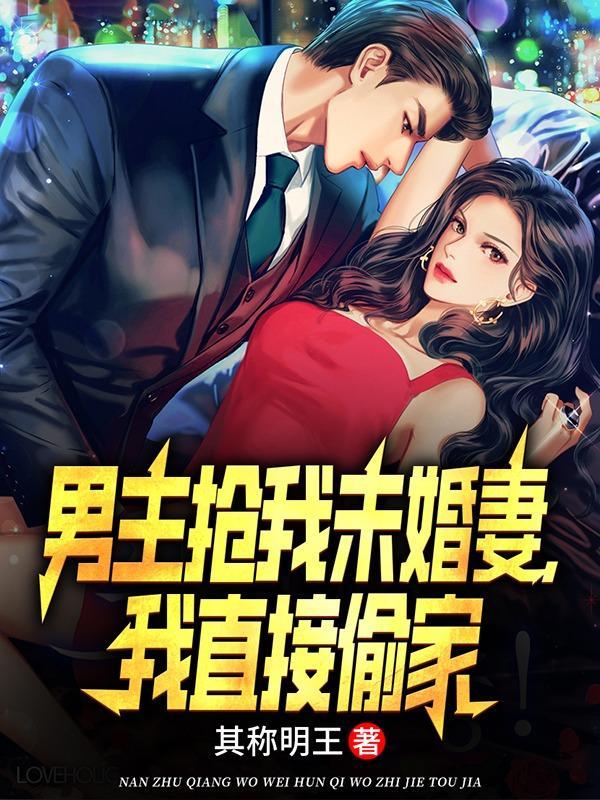 我直接偷家txt