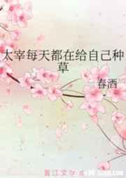 太宰每天都在给自己种草全文免费阅读