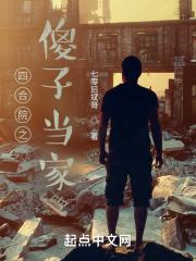 四合院傻子当家的