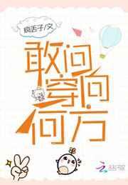 敢问穿向何方TXT书包网