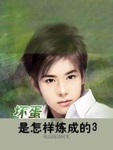 坏蛋是怎样炼成的3全集阅读