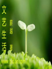 从1997开始的文艺生活