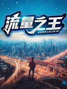 流量之王十大神曲