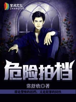 危险拍档电子书