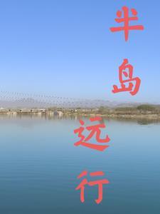 半岛fc