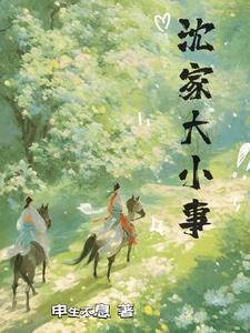 沈家大院的战争电视剧