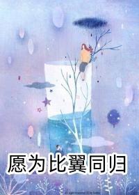 主人叶枫