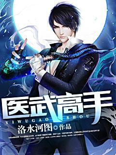医武高手陆云