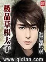 极品草根太子百度