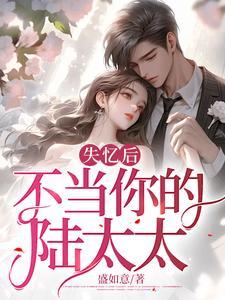 陆云洲叶婉大结局