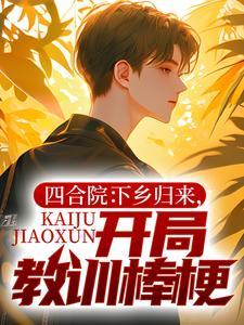 四合院之贾爸