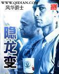 隐龙变全文免费阅读