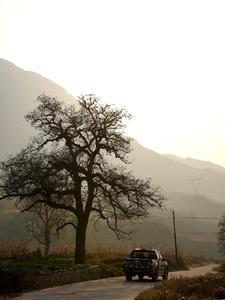 中华民族靠什么穿越苦难走向辉煌