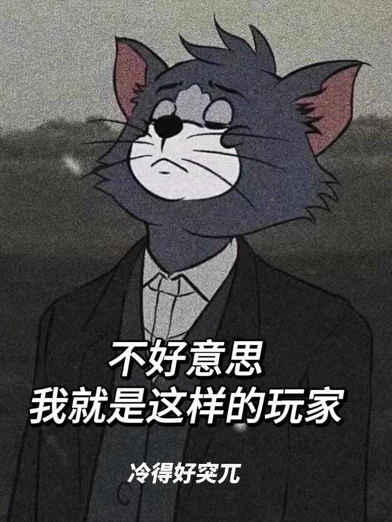 我就是这样的玩家免费观看