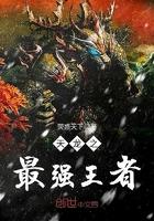 穿越天龙八部天龙之王夫人