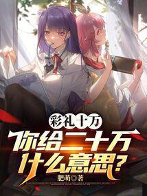 你给二十万什么意思呀 你给二十万什么意思呀