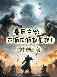 幕后主宰正派反派都是我! 雪中送糖