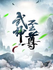武神至尊叶风修炼等级排行