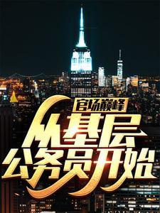 官场巅峰从基层公务员开始作者佚名