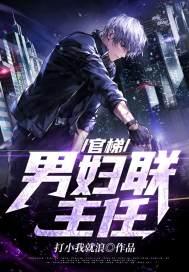 官梯女政府办主任全文免费阅读