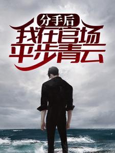我在官场平步青云最新