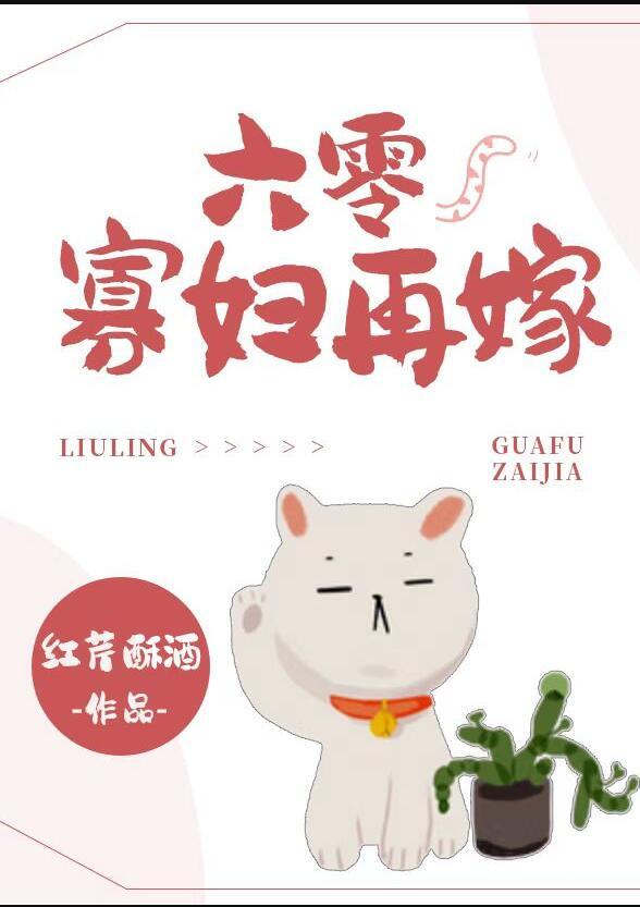 六零寡妇再嫁讲的什么