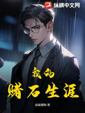 我的赌石生涯偷香窃玉类的 我的赌石生涯偷香窃玉类的