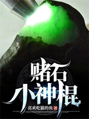 赌石小子全文阅读