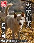 农家仙犬棉花糖