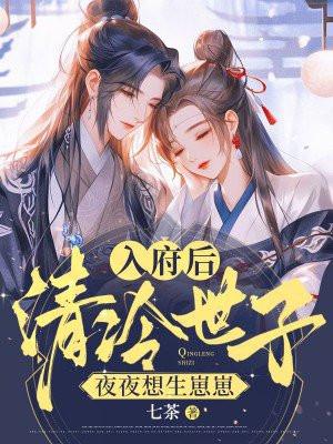 入了世子府