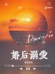 溺婚无弹窗