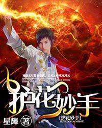 护花妙手 星辉主要内容
