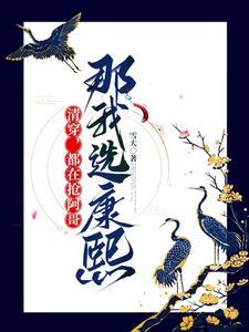 清穿当阿哥的夺嫡 清穿当阿哥的夺嫡