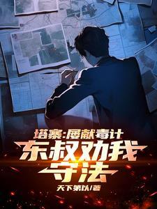 塔寨屡献毒计东叔劝我守法笔趣阁