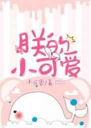 朕的小可爱65章