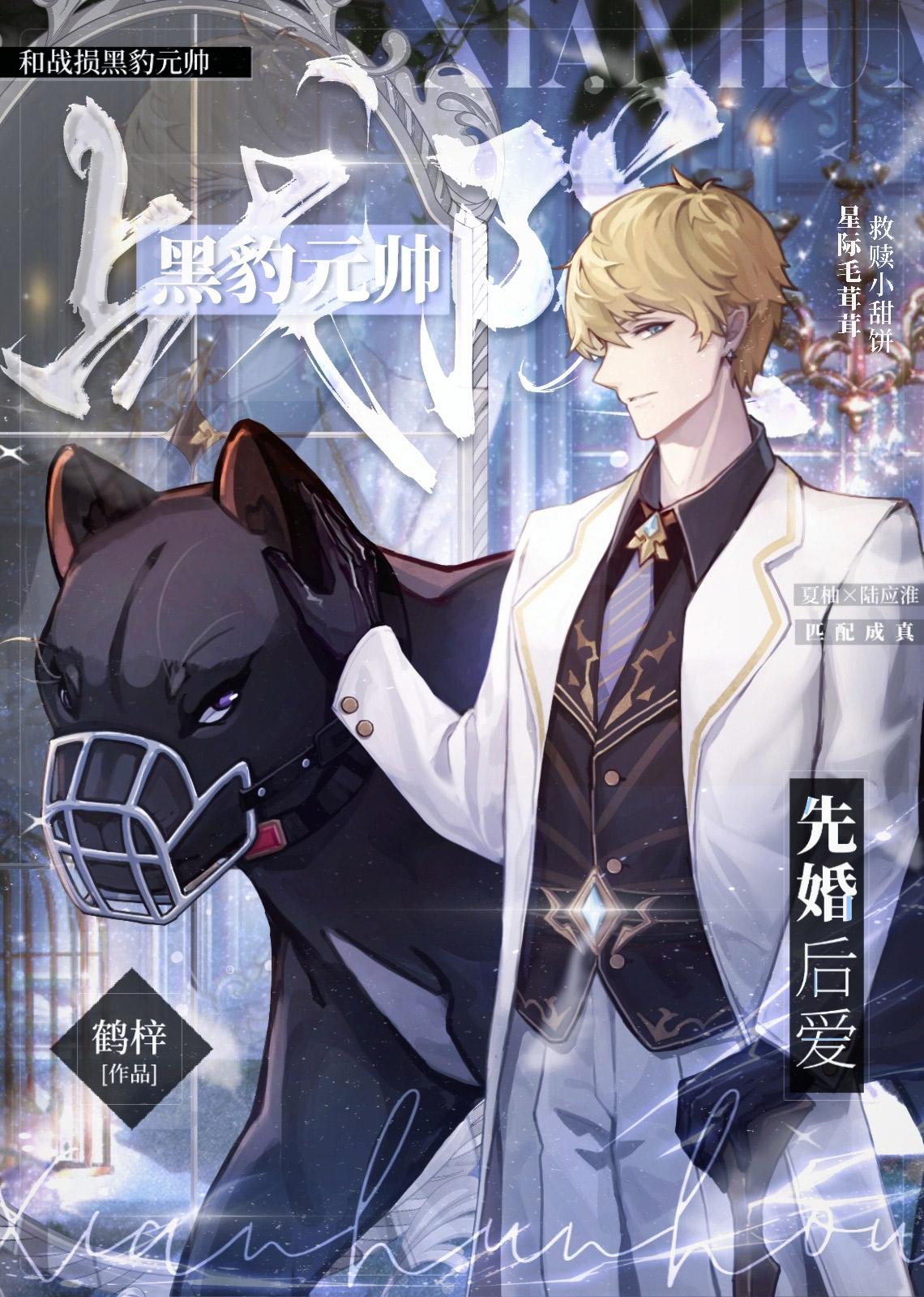 和战损黑豹元帅先婚后爱_ 和战损黑豹元帅先婚后爱_