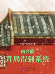四合院开局带妹妹跑路全文阅读免费