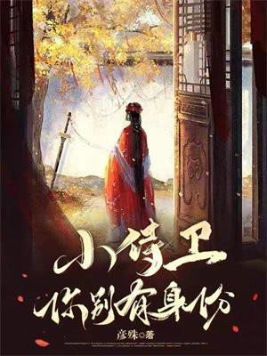 小侍卫r