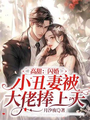 闪婚大全