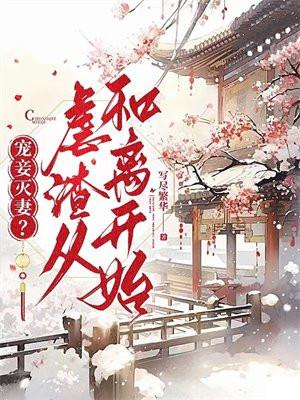 宠妾灭妻真的好好看