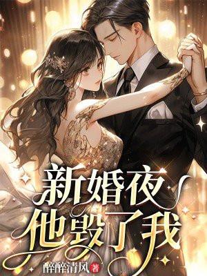新婚夜他毁了我一样宋知心阅读最新章节